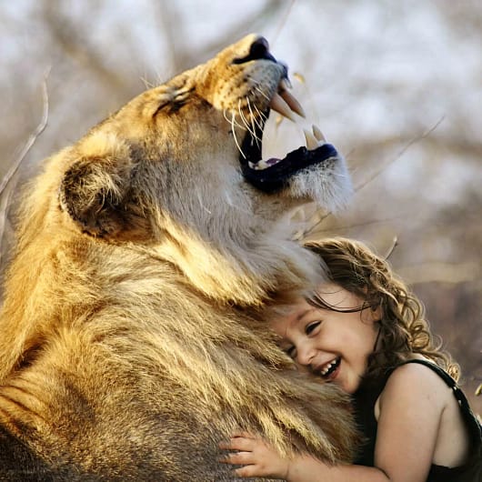 Mädchen kuschelt sich an Löwe