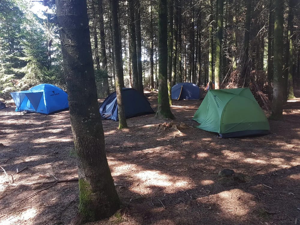 Magic Campus: Camp im Wald