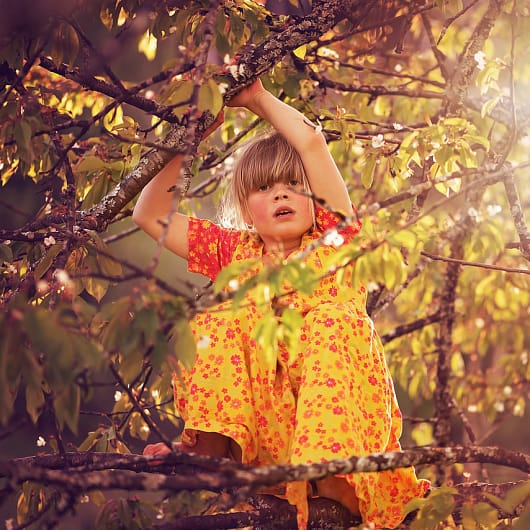 Mädchen klettert auf Baum